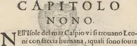 Picture 11 of 34 from Aggiunta alla quarta parte dell'Indie del sig. Giovanni Botero Benese : di mostri, & usanze di quelle parti, e di quei re con le sue figure al naturale (1623), leaf 22