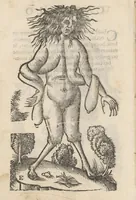 An illustration from Aggiunta alla quarta parte dell'Indie del sig. Giovanni Botero Benese : di mostri, & usanze di quelle parti, e di quei re con le sue figure al naturale (1623)