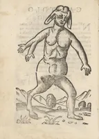 Picture 14 of 34 from Aggiunta alla quarta parte dell'Indie del sig. Giovanni Botero Benese : di mostri, & usanze di quelle parti, e di quei re con le sue figure al naturale (1623), leaf 27