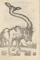 An illustration from Aggiunta alla quarta parte dell'Indie del sig. Giovanni Botero Benese : di mostri, & usanze di quelle parti, e di quei re con le sue figure al naturale (1623)