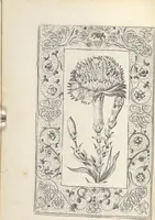 An illustration from Les sainctes prieres de l'ame chrestienne (1644)