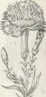 An illustration from Les sainctes prieres de l'ame chrestienne (1644)