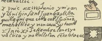 Picture 108 of 140 from Histoire de la nation Mexicaine, depuis le départ d'Aztlan jusqu'à l'arrivée des conquérants espanols (et au delà 1607) : manuscrit figuratif acompagné de texte en langue Nahuatl ou Mexicaine suivi d'une traduction en français (1893), leaf 133