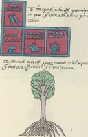 Picture 25 of 140 from Histoire de la nation Mexicaine, depuis le départ d'Aztlan jusqu'à l'arrivée des conquérants espanols (et au delà 1607) : manuscrit figuratif acompagné de texte en langue Nahuatl ou Mexicaine suivi d'une traduction en français (1893), leaf 36