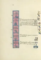 Picture 63 of 140 from Histoire de la nation Mexicaine, depuis le départ d'Aztlan jusqu'à l'arrivée des conquérants espanols (et au delà 1607) : manuscrit figuratif acompagné de texte en langue Nahuatl ou Mexicaine suivi d'une traduction en français (1893), leaf 85