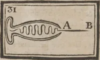 Picture 33 of 67 from Codicile de Jérome Sharp, professeur de physique amusante; où l'on trouve, parmi plusieurs tours dont il n'est point parlé dans son testament, diverses récréations relatives aux sciences & beaux-arts. Pour servir de troisième suite à la Magie blanche dévoilée (1791), leaf 104
