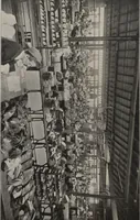 Picture 15 of 20 from Gaghills slipper factory / H.W. Trickett Limited (1906), leaf 14