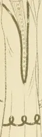 An illustration from Herbst & Winter, 1926 (1926)
