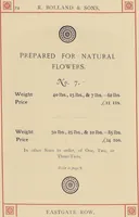 Picture 12 of 22 from R. Bolland & Sons' illustrated list of bride cakes (1890), leaf 26