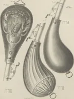 Picture 26 of 48 from Illustrated catalogue and price list of powder flasks, shot belts, shot pouches, dram bottles, measuring tapes, percussion caps, & c, manufactured by American Flask and Cap Company, Waterbury, Conn (1864), leaf 33