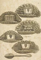 Picture 53 of 62 from Desseins des pièces de fayence fabriquées à Castleford Pottery près de Leeds par D. Dunderdale & Co. = Dibuxos de las piezas de loza que se fabrican a Castleford Pottery cerca Leeds, por D. Dunderdale & Co. (1796), leaf 97