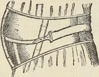 Picture 23 of 45 from Illustrated catalogue of the Dr. Jaeger's Sanitary Woolen System Co. : sole importers and exclusive manufacturers of all goods constructed under and pertaining to the Sanitary System of Dr. Gustav Jaeger : wholesale, retail, warerooms (1889), leaf 48