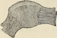 An illustration from Illustrated catalogue of the Dr. Jaeger's Sanitary Woolen System Co. : sole importers and exclusive manufacturers of all goods constructed under and pertaining to the Sanitary System of Dr. Gustav Jaeger : wholesale, retail, warerooms (1889)