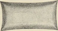 Picture 27 of 45 from Illustrated catalogue of the Dr. Jaeger's Sanitary Woolen System Co. : sole importers and exclusive manufacturers of all goods constructed under and pertaining to the Sanitary System of Dr. Gustav Jaeger : wholesale, retail, warerooms (1889), leaf 51