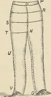 An illustration from Illustrated catalogue of the Dr. Jaeger's Sanitary Woolen System Co. : sole importers and exclusive manufacturers of all goods constructed under and pertaining to the Sanitary System of Dr. Gustav Jaeger : wholesale, retail, warerooms (1889)