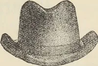 An illustration from Illustrated catalogue of the Dr. Jaeger's Sanitary Woolen System Co. : sole importers and exclusive manufacturers of all goods constructed under and pertaining to the Sanitary System of Dr. Gustav Jaeger : wholesale, retail, warerooms (1889)