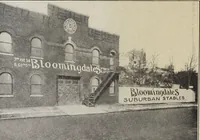 Picture 102 of 166 from Bloomingdales : Diary 1910 and catalog, giving prices and details of high grade merchandise and various other interesting information / Bloomingdale Bros. (1910), leaf 124
