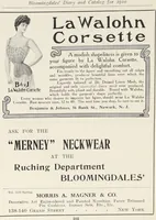 Picture 150 of 166 from Bloomingdales : Diary 1910 and catalog, giving prices and details of high grade merchandise and various other interesting information / Bloomingdale Bros. (1910), leaf 210