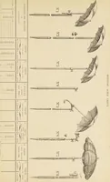 An illustration from Jules Chauvin : atelier de dorure et d'encadrements, fournitures speciales pour artistes, agent general pour la France, des couleurs a la detrempe a la majolique et a la resine du Baron de Pereira, des couleurs resineuses de Mussini, des couleurs a l'huile et a l'ambre dissous de Jacques Blockx, des toiles fond albumen et majolique, preparees par le procede de Pereira pour la peinture a la detrempe et a l'huile, couleurs extra fines a l'huile broyees a la main, couleurs extra fines al detrempe... materiel d'artistes (1893)