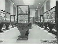 Picture 7 of 75 from General catalogue of show cases, fittings, book cases, stands &c., executed for H.M. Government at the British & Natural History museums (1907), leaf 17