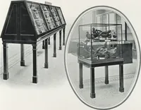 Picture 22 of 75 from General catalogue of show cases, fittings, book cases, stands &c., executed for H.M. Government at the British & Natural History museums (1907), leaf 39