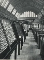 Picture 23 of 75 from General catalogue of show cases, fittings, book cases, stands &c., executed for H.M. Government at the British & Natural History museums (1907), leaf 41