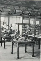 Picture 24 of 75 from General catalogue of show cases, fittings, book cases, stands &c., executed for H.M. Government at the British & Natural History museums (1907), leaf 41