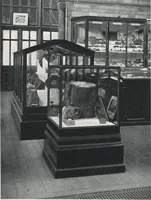 Picture 30 of 75 from General catalogue of show cases, fittings, book cases, stands &c., executed for H.M. Government at the British & Natural History museums (1907), leaf 49