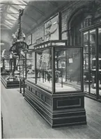 Picture 33 of 75 from General catalogue of show cases, fittings, book cases, stands &c., executed for H.M. Government at the British & Natural History museums (1907), leaf 55