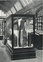 Picture 35 of 75 from General catalogue of show cases, fittings, book cases, stands &c., executed for H.M. Government at the British & Natural History museums (1907), leaf 57