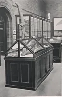 Picture 54 of 75 from General catalogue of show cases, fittings, book cases, stands &c., executed for H.M. Government at the British & Natural History museums (1907), leaf 91