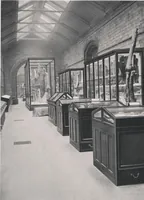 An illustration from General catalogue of show cases, fittings, book cases, stands &c., executed for H.M. Government at the British & Natural History museums (1907)