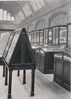 Picture 56 of 75 from General catalogue of show cases, fittings, book cases, stands &c., executed for H.M. Government at the British & Natural History museums (1907), leaf 93