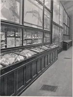 Picture 57 of 75 from General catalogue of show cases, fittings, book cases, stands &c., executed for H.M. Government at the British & Natural History museums (1907), leaf 93