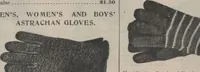 Picture 113 of 344 from New York City's latest fall and winter styles for 1906-1907 : catalogue no. 42 / Siegel Cooper Co (1906), leaf 106