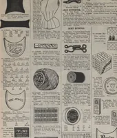 An illustration from New York City's latest fall and winter styles for 1906-1907 : catalogue no. 42 / Siegel Cooper Co (1906)