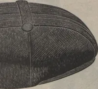 An illustration from New York City's latest fall and winter styles for 1906-1907 : catalogue no. 42 / Siegel Cooper Co (1906)