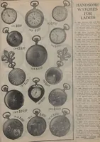 An illustration from New York City's latest fall and winter styles for 1906-1907 : catalogue no. 42 / Siegel Cooper Co (1906)