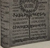Picture 202 of 344 from New York City's latest fall and winter styles for 1906-1907 : catalogue no. 42 / Siegel Cooper Co (1906), leaf 179