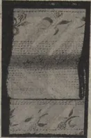 An illustration from New York City's latest fall and winter styles for 1906-1907 : catalogue no. 42 / Siegel Cooper Co (1906)