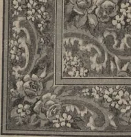 An illustration from New York City's latest fall and winter styles for 1906-1907 : catalogue no. 42 / Siegel Cooper Co (1906)