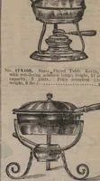 An illustration from New York City's latest fall and winter styles for 1906-1907 : catalogue no. 42 / Siegel Cooper Co (1906)