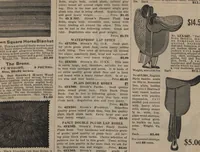 Picture 341 of 344 from New York City's latest fall and winter styles for 1906-1907 : catalogue no. 42 / Siegel Cooper Co (1906), leaf 265