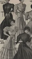 Picture 21 of 344 from New York City's latest fall and winter styles for 1906-1907 : catalogue no. 42 / Siegel Cooper Co (1906), leaf 28