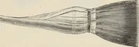 An illustration from Catalogue of Ripka & Co. : importers and manufacturers of artists' materials (1893)