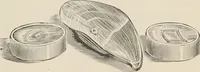 Picture 93 of 134 from Catalogue of Ripka & Co. : importers and manufacturers of artists' materials (1893), leaf 142