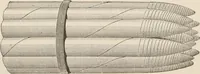 Picture 107 of 134 from Catalogue of Ripka & Co. : importers and manufacturers of artists' materials (1893), leaf 158