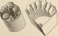 Picture 132 of 134 from Catalogue of Ripka & Co. : importers and manufacturers of artists' materials (1893), leaf 214
