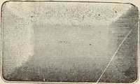 An illustration from Catalogue of Ripka & Co. : importers and manufacturers of artists' materials (1893)