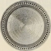 Picture 43 of 134 from Catalogue of Ripka & Co. : importers and manufacturers of artists' materials (1893), leaf 73